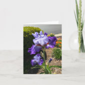 パープル ビアード アイリス オーダーメイド グリーティング カード (正面)