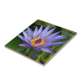 パープル/ブルーウォーターリリー池 タイル (側面)