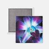 パープル&ブルーデンドロビウム蘭カスタマイズ蘭蘭 マグネット (正面/裏面)