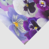 パープル ブルー ホワイト パンジー 花の花の誕生日 薄葉紙 (詳細)
