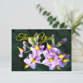 パープル ポテト フラワー 感謝カード (スタンド正面)