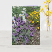 パープル ラベンダー＆デイジー 花のフローラル グリーティングカード (黄色い花)