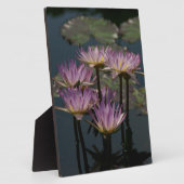 パープル《植物》スイレンロータス フォトプラーク (側面)