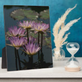 パープル《植物》スイレンロータス フォトプラーク (側面)