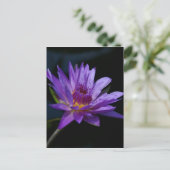 パープル《植物》スイレンロータス ポストカード (スタンド正面)