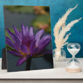 パープル《植物》スイレン フォトプラーク (側面)