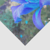 パープルNターコイズデイリー 薄葉紙 (詳細)