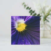 パープ感動的ラパンシーのマモダンクロ (スタンド正面)