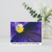 パープ感動的ラパンシーのマモダンクロ ポストカード (スタンド正面)