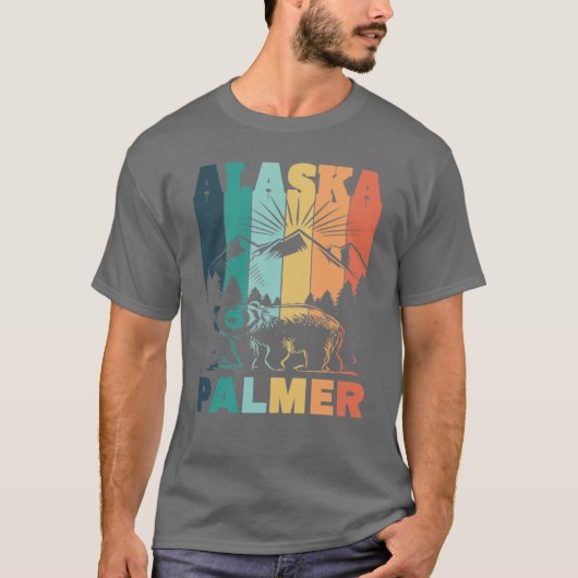 パーマー アラスカ 山の景色 Tシャツ (正面)