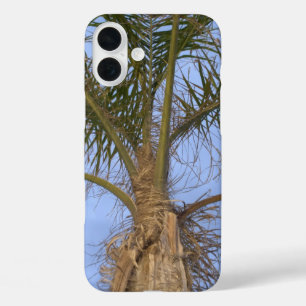 パームかわいらしツリーのクローズアップ iPhone 16 PLUSケース