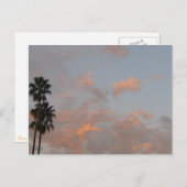 パームとピンクの雲のアート空白のはがき ポストカード (正面/裏面)