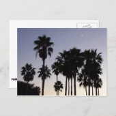 パームと夕暮れトロピカルシーン ポストカード (正面/裏面)