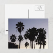 パームと夕暮れトロピカルシーン ポストカード (正面/裏面)