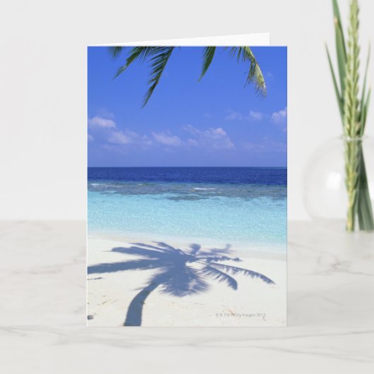 パームの影 カード (正面)