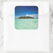 パームの木のシール付き太平洋島 スクエアシール (バッグ)