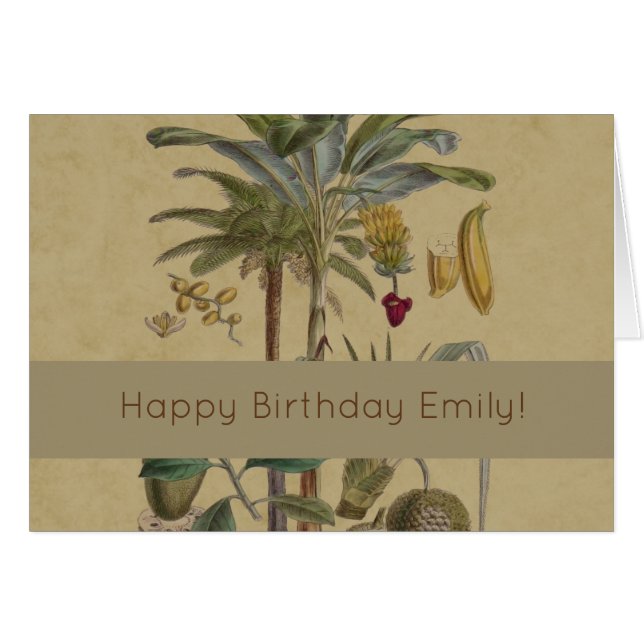 パームアンティークトロピカルフルーツ植物芸術 (正面横)