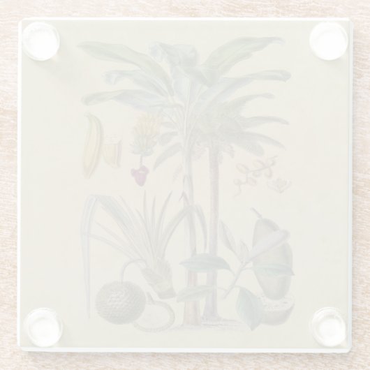 パームアンティークトロピカルフルーツ植物芸術 ガラスコースター (裏面)
