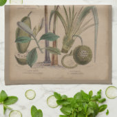 パームアンティークトロピカルフルーツ植物芸術 キッチンタオル (折り畳み)