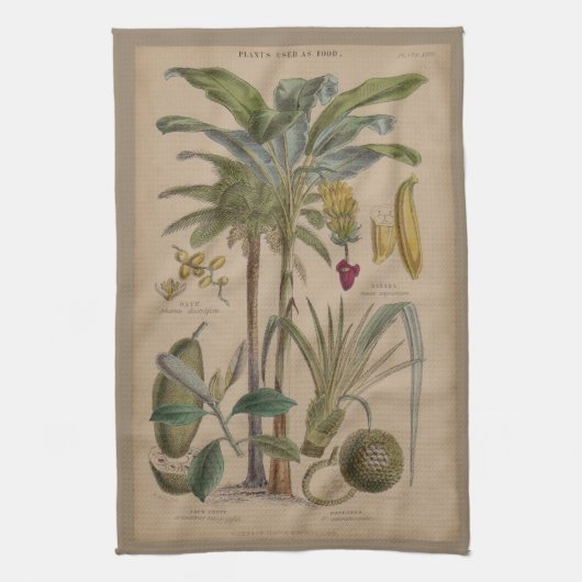 パームアンティークトロピカルフルーツ植物芸術 キッチンタオル (縦)