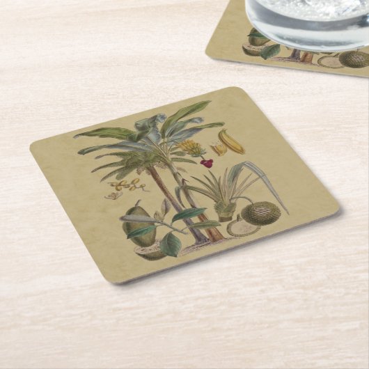 パームアンティークトロピカルフルーツ植物芸術 スクエアペーパーコースター (アングル)