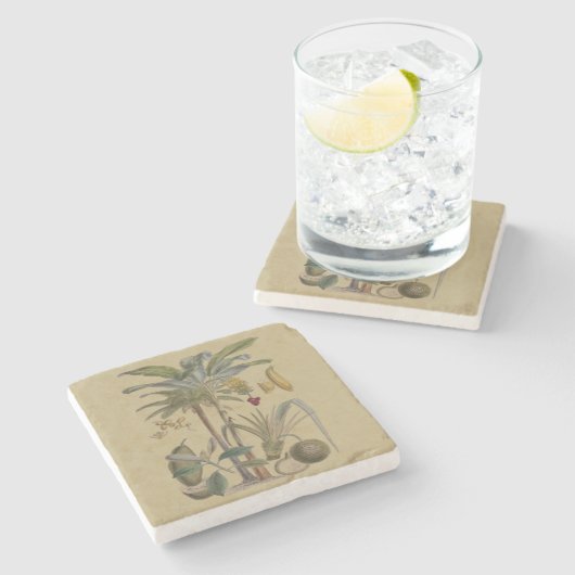 パームアンティークトロピカルフルーツ植物芸術 ストーンコースター (横)