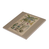 パームアンティークトロピカルフルーツ植物芸術 タイル (側面)