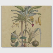 パームアンティークトロピカルフルーツ植物芸術 ラッピングペーパー (フラット)