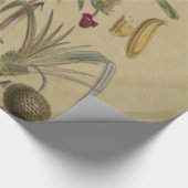 パームアンティークトロピカルフルーツ植物芸術 ラッピングペーパー (角)