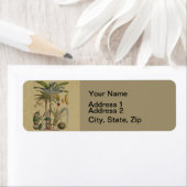 パームアンティークトロピカルフルーツ植物芸術 ラベル (インサイチュ)