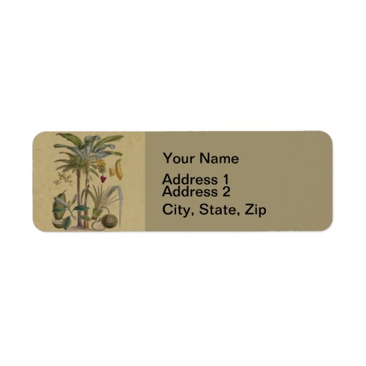 パームアンティークトロピカルフルーツ植物芸術 ラベル (正面)