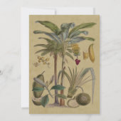 パームアンティークトロピカルフルーツ植物芸術 招待状 (裏面)