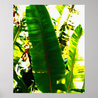 パームウォーターの色 ポスター