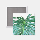 パームエレガントリーフ熱帯ジャングル熱帯雨林リーフ マグネット (正面/裏面)