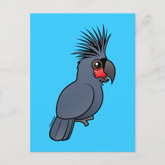 パームコッカトゥー ポストカード (正面)