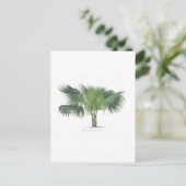 パームスケッチVII ポストカード (スタンド正面)