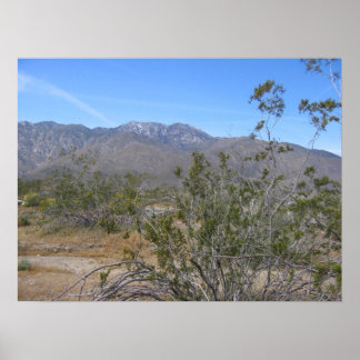 パームスプリングス(26) ポスター