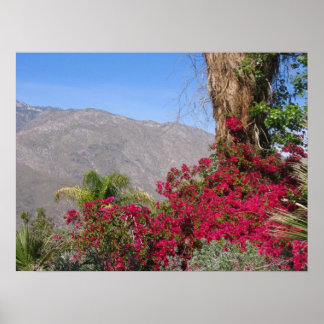 パームスプリングス(4) ポスター