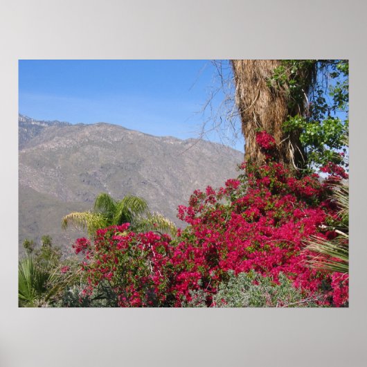 パームスプリングス(4) ポスター (正面)