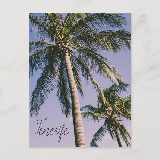 パームズインテネリフェ ポストカード (正面)