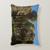 パームズ失ったオアシスIアットジョシュアツリーナショナルパーク アクセントクッション (正面(垂直))