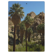 パームズ失ったオアシスIアットジョシュアツリーナショナルパーク クリップボード (裏面)