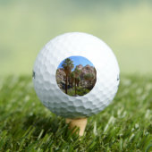 パームズ失ったオアシスIアットジョシュアツリーナショナルパーク ゴルフボール (インサイチュ 木)