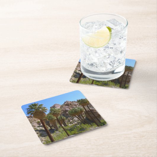 パームズ失ったオアシスIアットジョシュアツリーナショナルパーク スクエアペーパーコースター (インサイチュ)