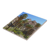 パームズ失ったオアシスIアットジョシュアツリーナショナルパーク タイル (側面)