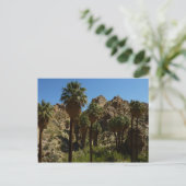 パームズ失ったオアシスIアットジョシュアツリーナショナルパーク ポストカード (スタンド正面)