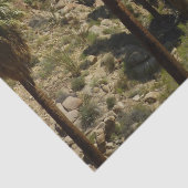 パームズ失ったオアシスIアットジョシュアツリーナショナルパーク 薄葉紙 (詳細)