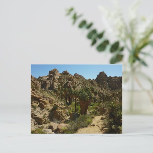 パームズ失ったオアシスIIアットジョシュアツリーナショナルパーク ポストカード (スタンド正面)