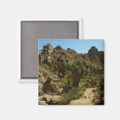 パームズ失ったオアシスIIアットジョシュアツリーナショナルパーク マグネット (正面/裏面)