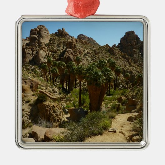 パームズ失ったオアシスIIアットジョシュアツリーナショナルパーク メタルオーナメント (正面)